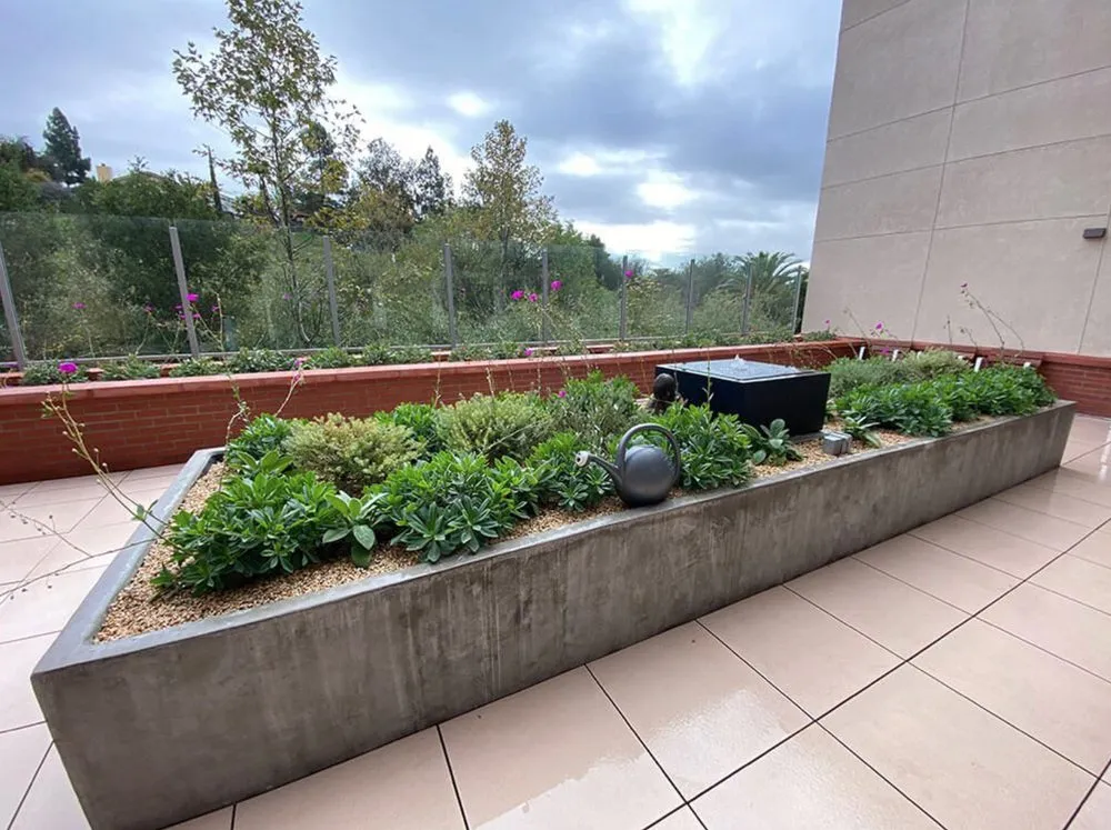 Professional landscaping services for year-round maintenance in Auburn, CA by Aronson Landscape