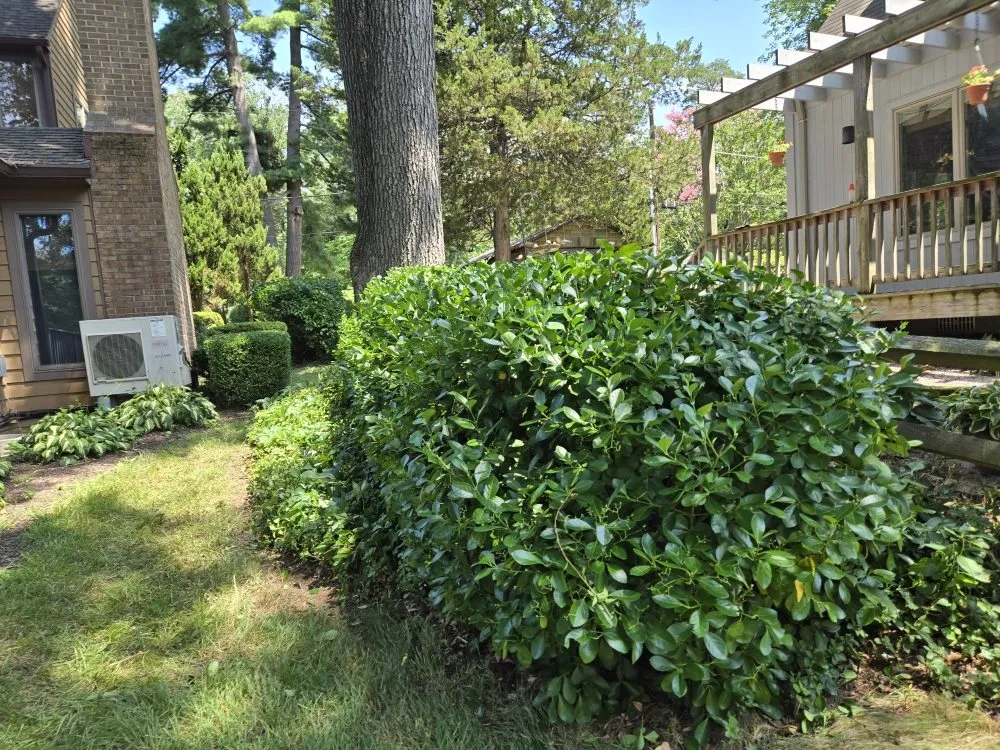 Custom residential landscaping in Spring Grove, PA by Around It All