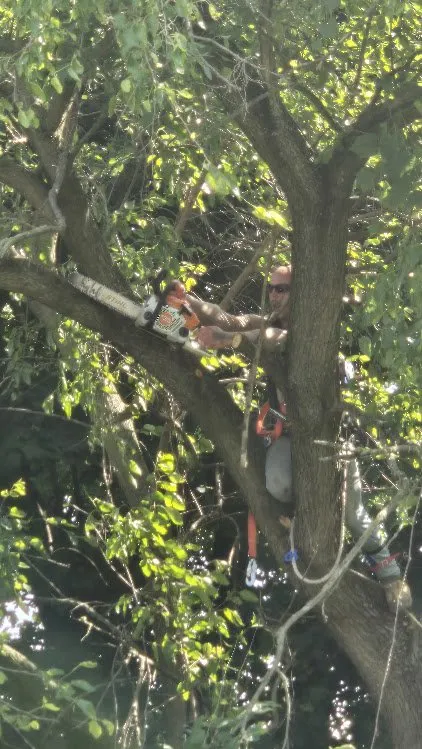 Trusted lawn mowing service experts serving Spring Grove, PA - Around It All