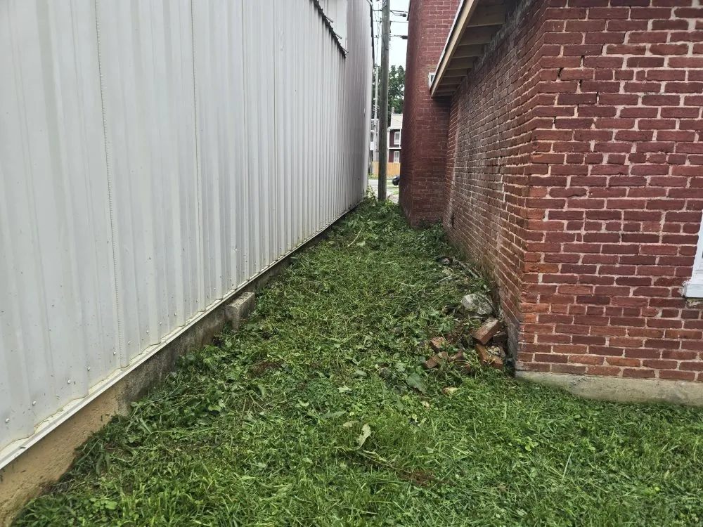 Expert yard cleanup service experts serving Spring Grove, PA - Around It All