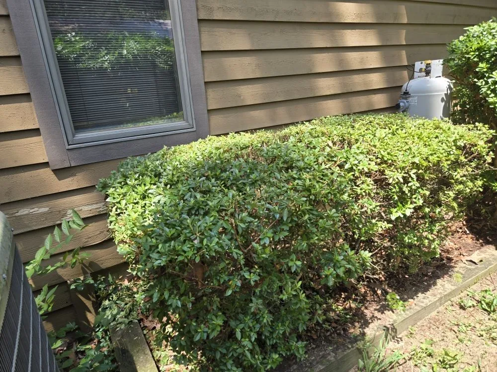 Professional outdoor landscaping in Spring Grove, PA - Around It All