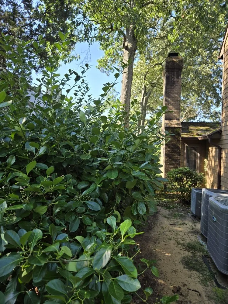 Expert lawn care service in Spring Grove, PA - Around It All