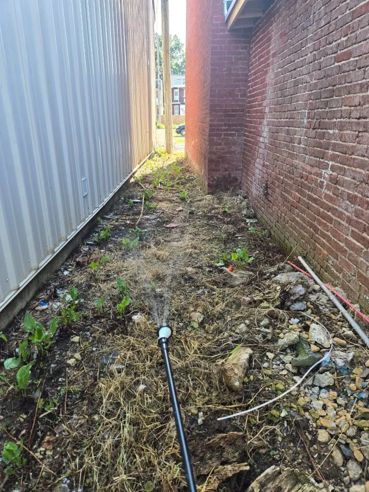 Professional yard cleanup service experts serving Spring Grove, PA - Around It All