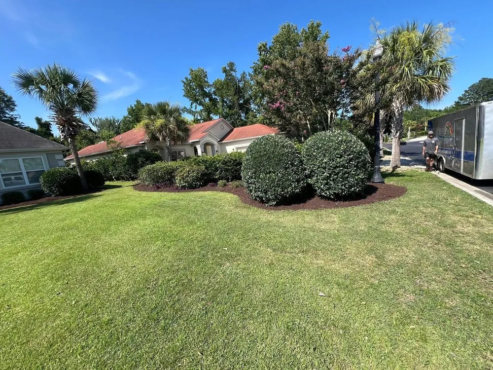 Affordable landscape installation in Shallotte, NC by Around The Bush