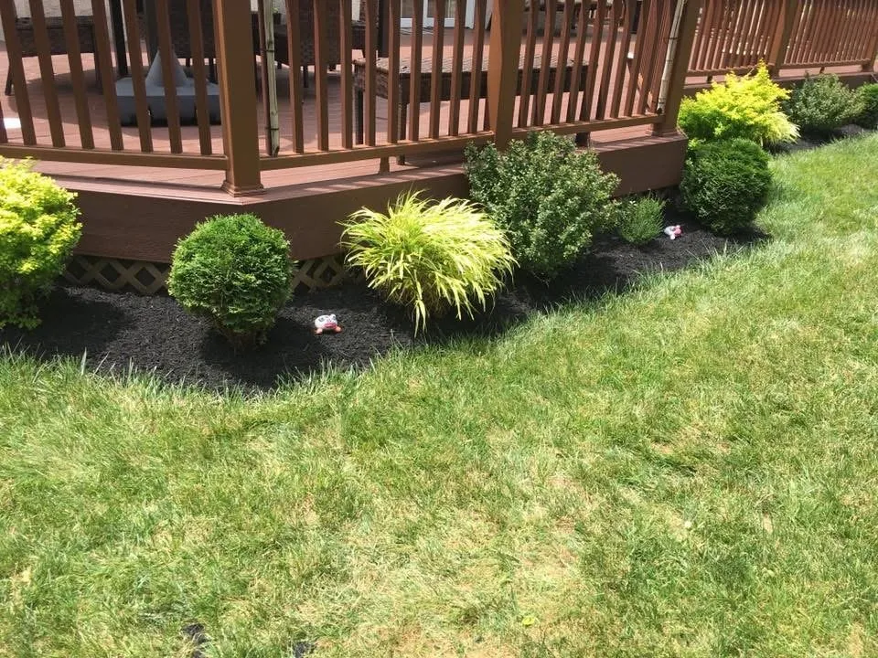 Top-rated landscape design for year-round maintenance in Shallotte, NC by Around The Bush