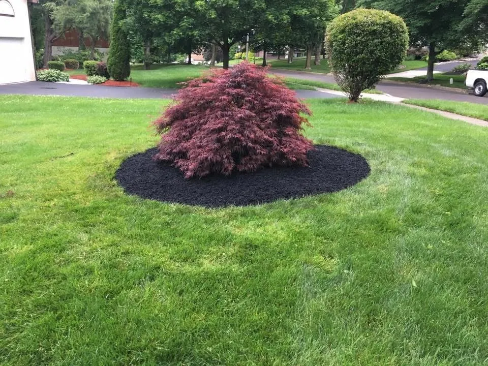 Reliable landscape installation in Shallotte, NC by Around The Bush