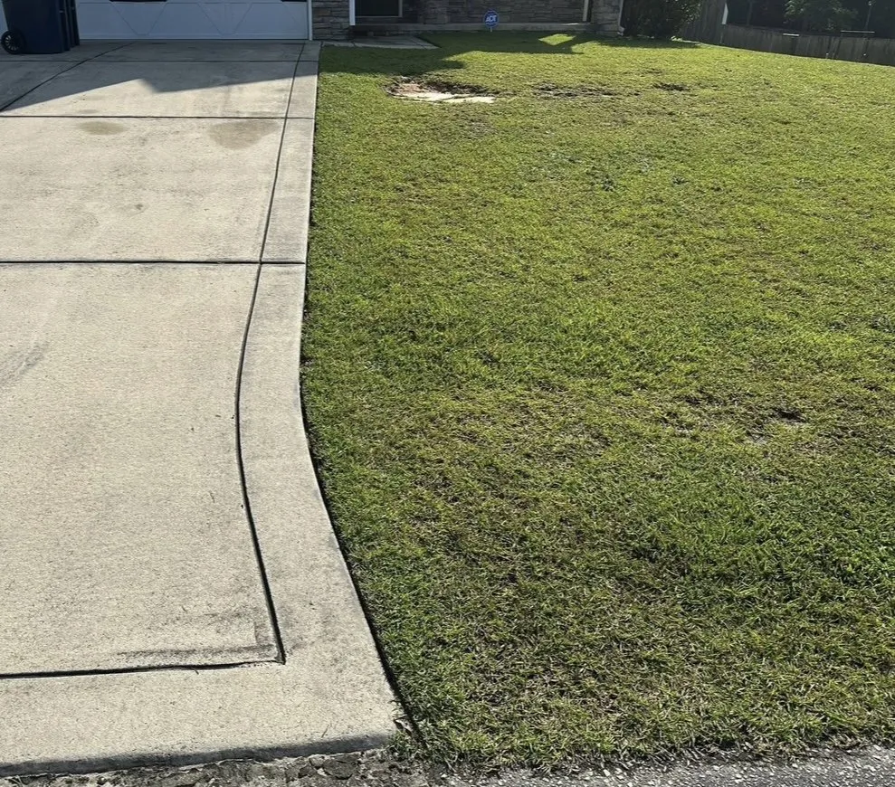 Custom yard cleanup service in Shallotte, NC by Around The Bush