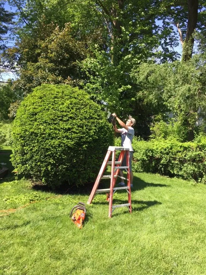 Professional landscape design in Shallotte, NC - Around The Bush