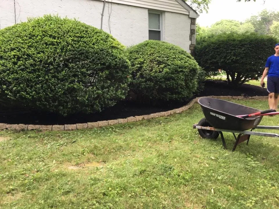 Expert residential landscaping for residential properties in Shallotte, NC by Around The Bush