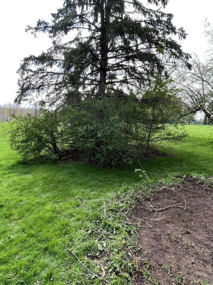 Affordable lawn care service experts serving Newark, NY - Around The Clock Werks