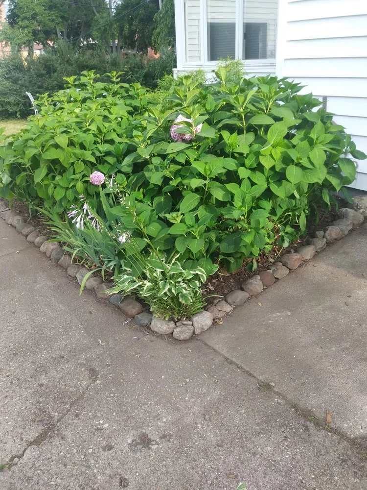 Top-rated landscape design experts serving Ann Arbor, MI - Around the Corner Lawn Care and Gardening - Ann Arbor