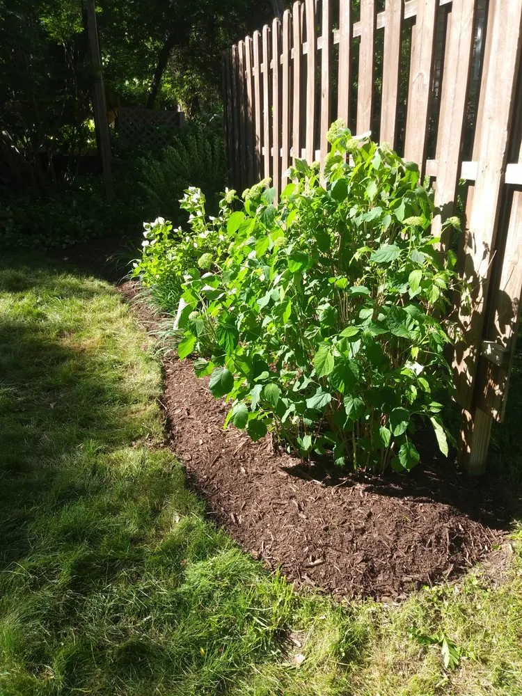 Top-rated garden landscaping experts serving Ann Arbor, MI - Around the Corner Lawn Care and Gardening - Ann Arbor