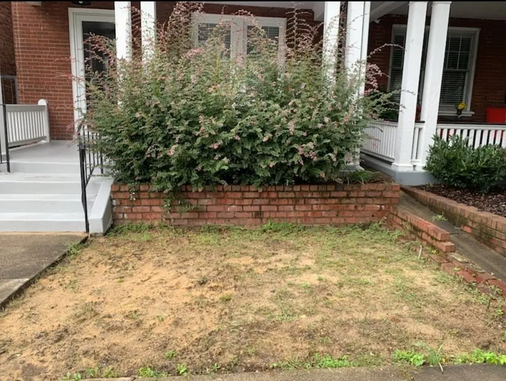 Expert yard cleanup service in Henrico, VA - A'Round the Town