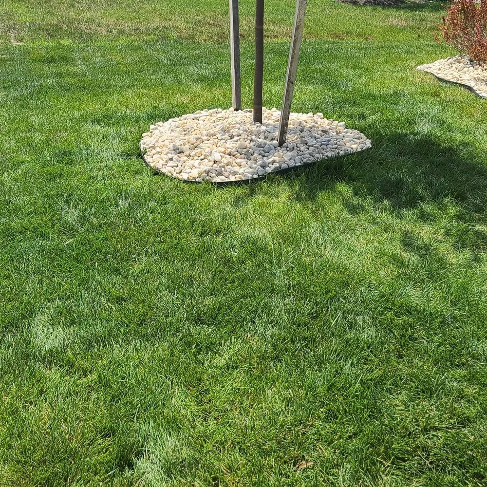 Reliable yard cleanup service in Henrico, VA by A'Round the Town