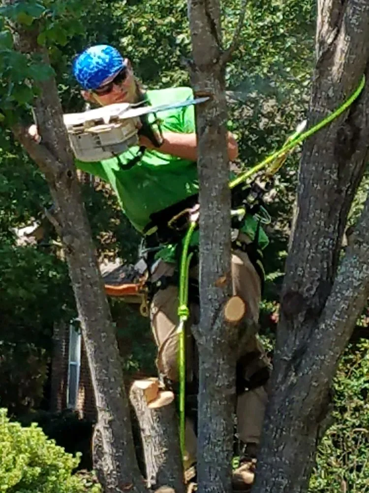 Reliable lawn care service in Chelsea, AL by AroundThe House and Tree Resources