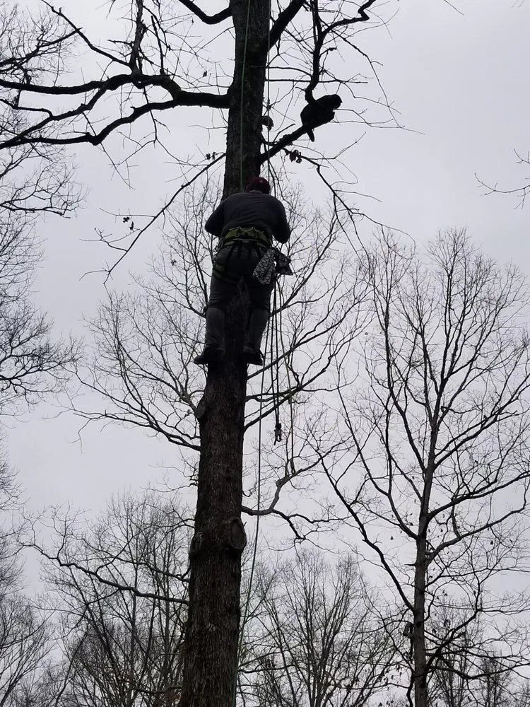 Reliable landscaping services experts serving Chelsea, AL - AroundThe House and Tree Resources