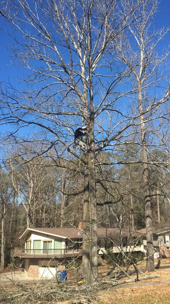 Local landscape design experts serving Chelsea, AL - AroundThe House and Tree Resources