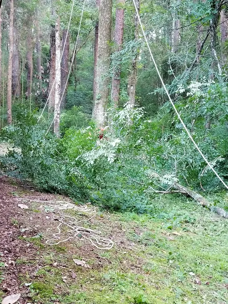 Affordable garden landscaping for residential properties in Chelsea, AL by AroundThe House and Tree Resources