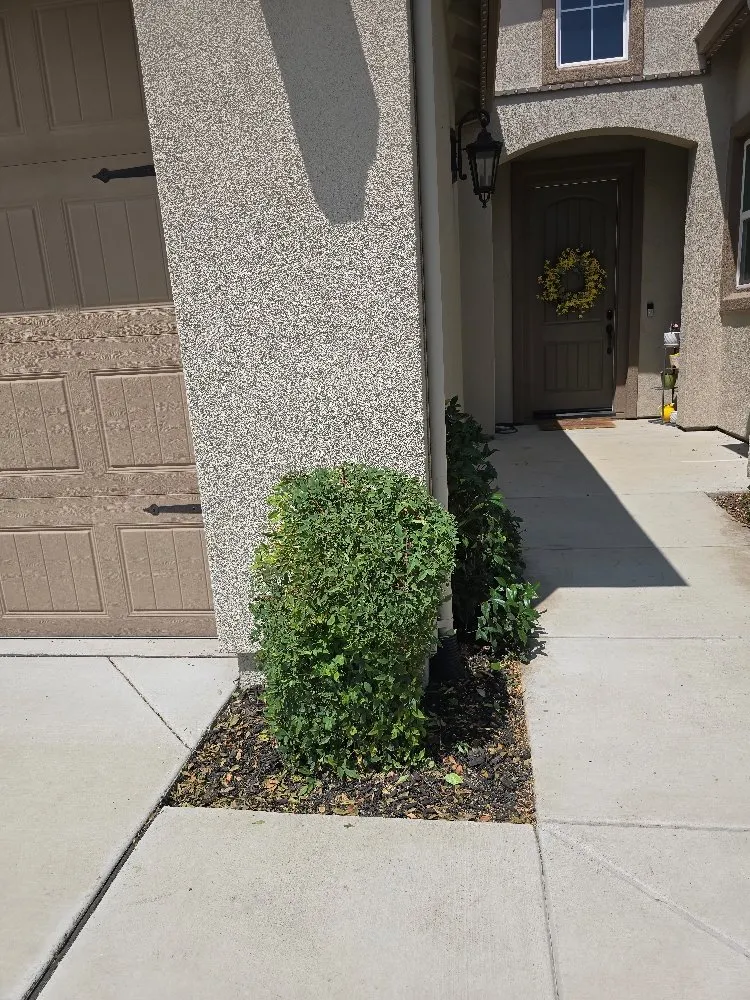 Professional landscape installation in Lodi, CA - ARP Landscaping