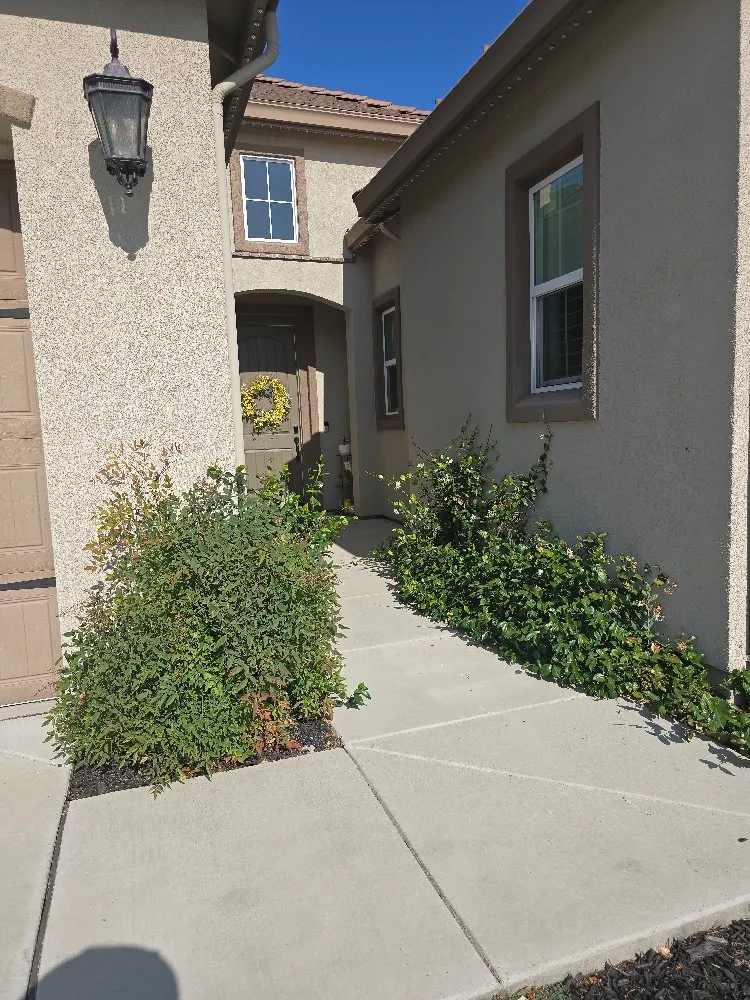 Custom lawn care service for homes across Lodi, CA - ARP Landscaping