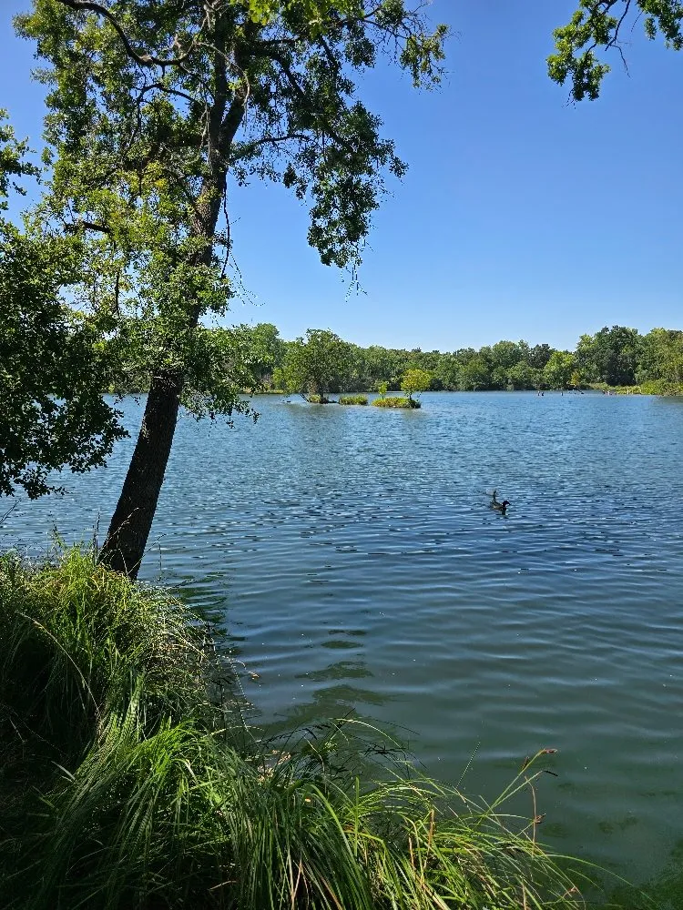 Custom outdoor landscaping for outdoor upgrades in Lodi, CA by ARP Landscaping