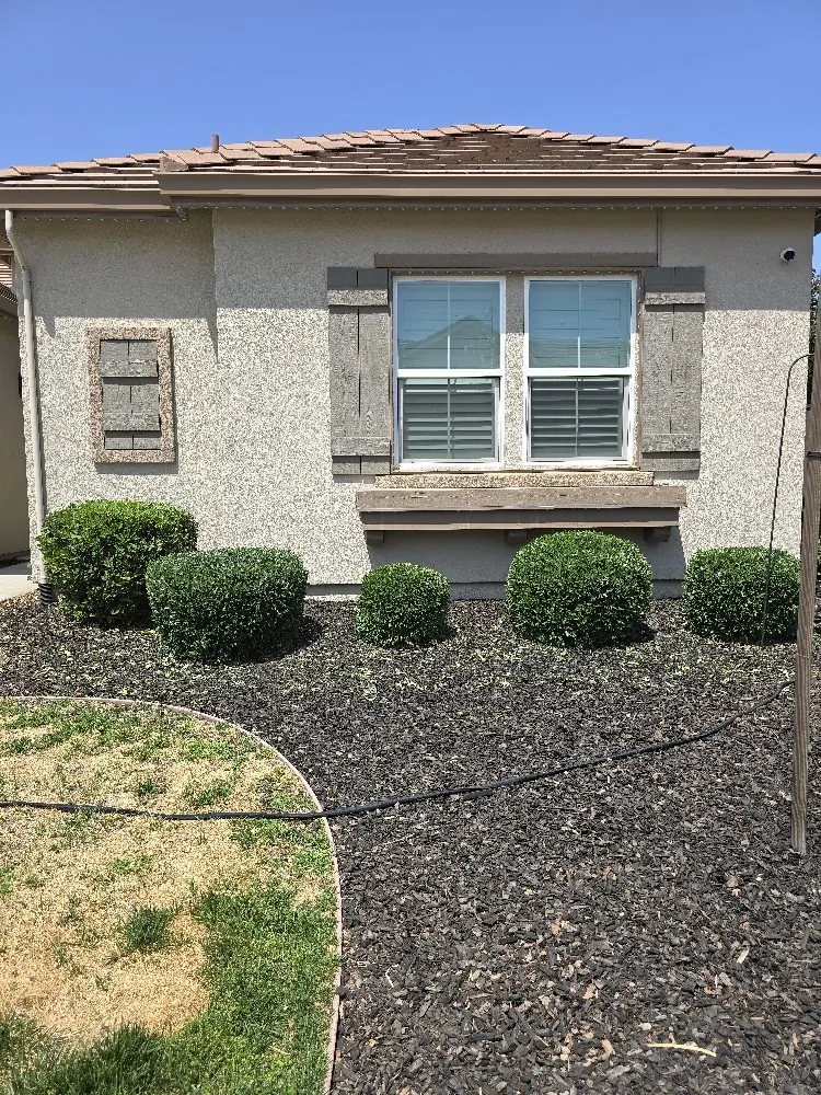 Expert yard cleanup service in Lodi, CA by ARP Landscaping