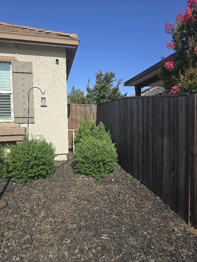 Custom landscaping services in Lodi, CA - ARP Landscaping