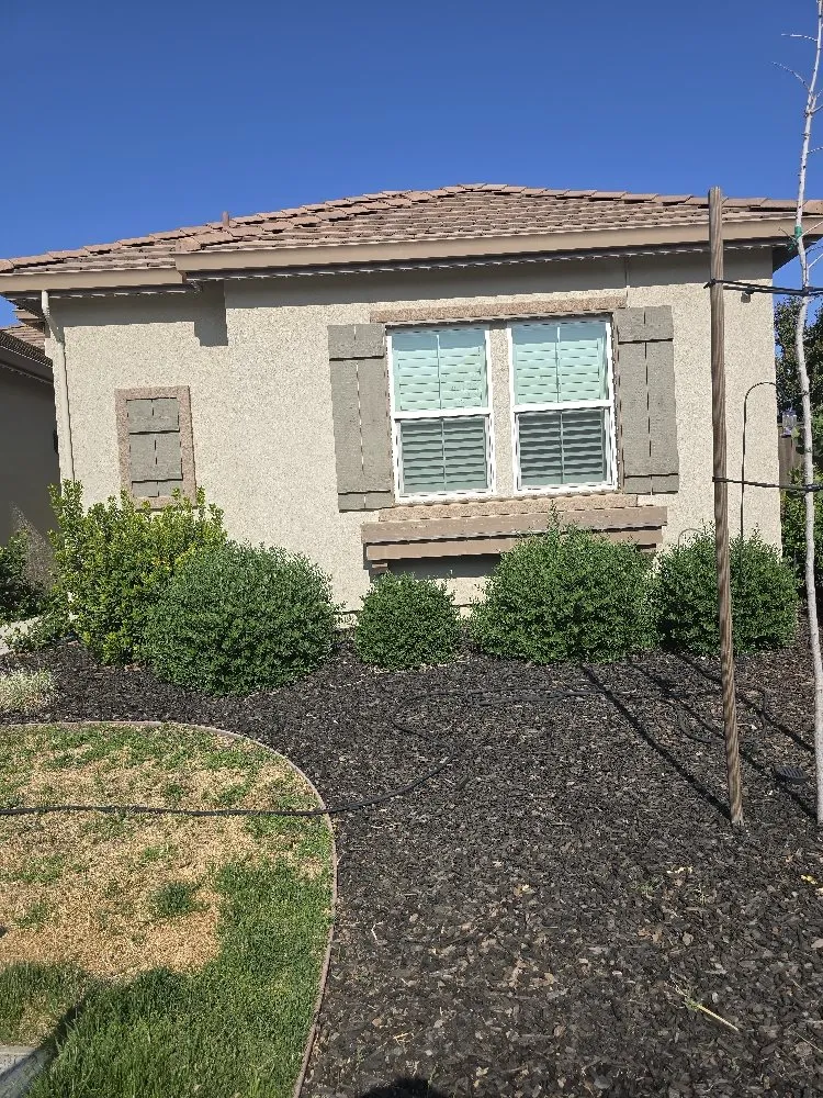 Custom lawn care service in Lodi, CA - ARP Landscaping