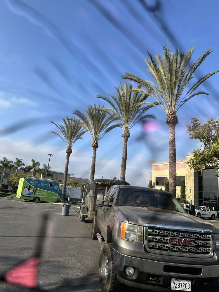 Local outdoor landscaping in Escondido, CA by Arpo Tree Service