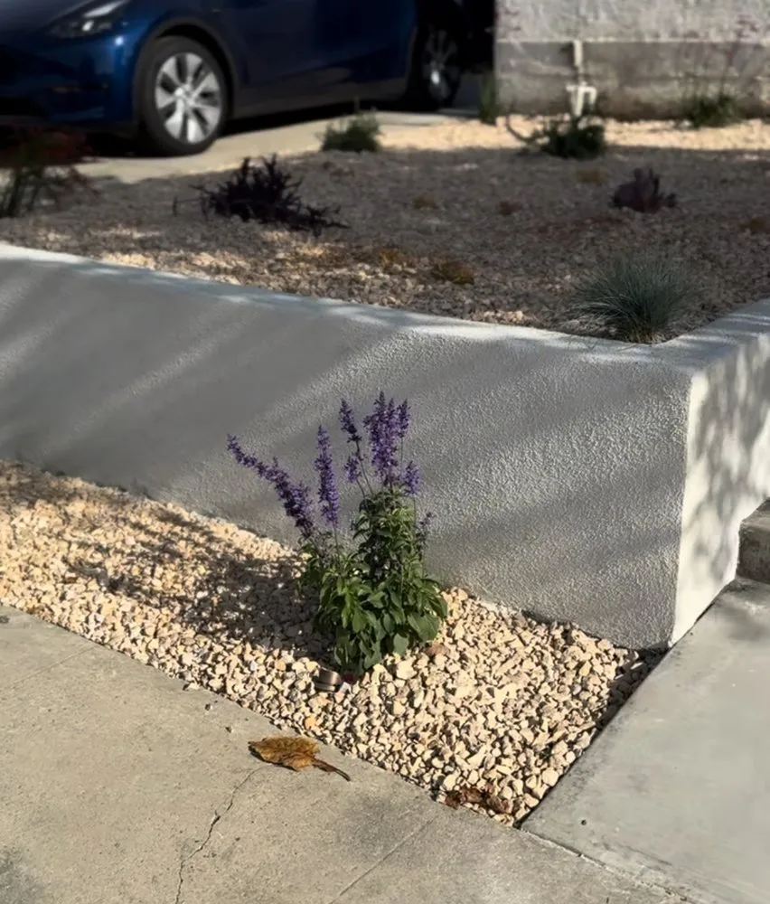 Top-rated landscape installation in Long Beach, CA - ArqTerra Landscaping