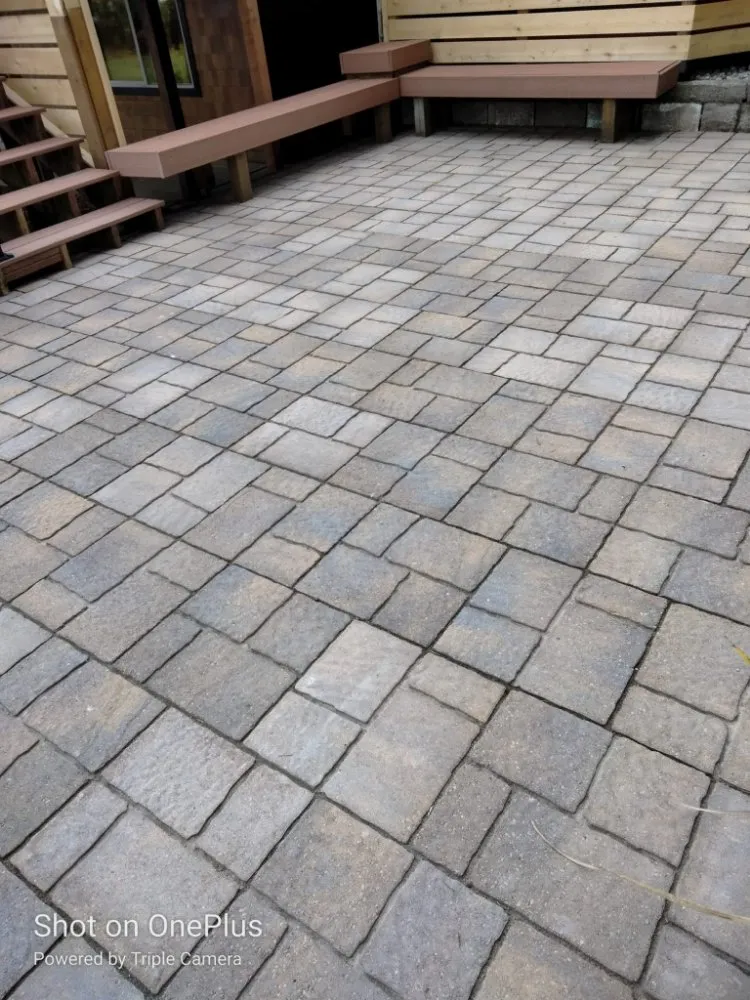 Reliable yard cleanup service in Lacey, WA - AR&R Landscaping