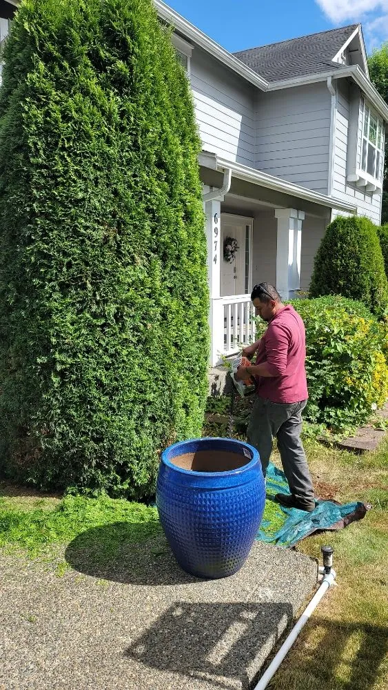 Expert residential landscaping experts serving Lacey, WA - AR&R Landscaping