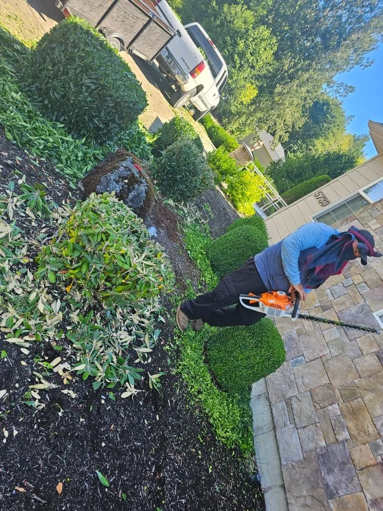 Reliable landscaping services in Lacey, WA by AR&R Landscaping