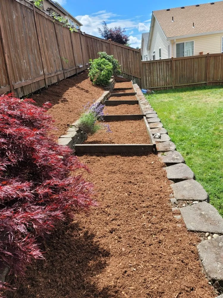 Top-rated yard cleanup service for year-round maintenance in Lacey, WA by AR&R Landscaping