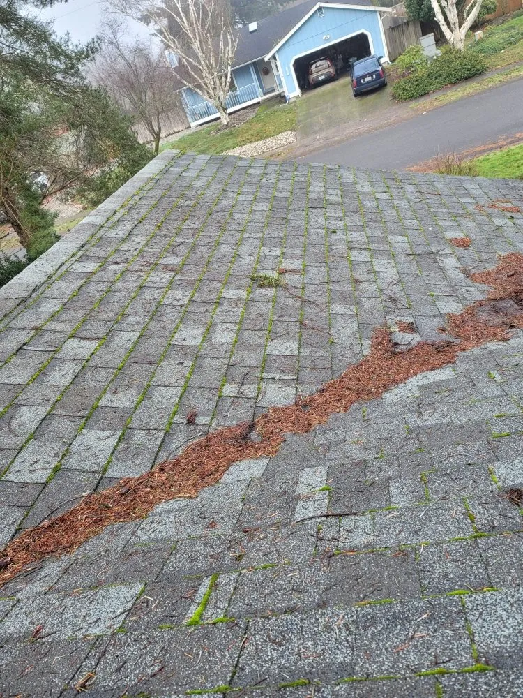 Expert outdoor landscaping for beautiful yards in Lacey, WA by AR&R Landscaping