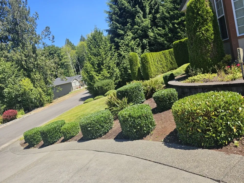 Custom yard maintenance for homes across Lacey, WA - AR&R Landscaping