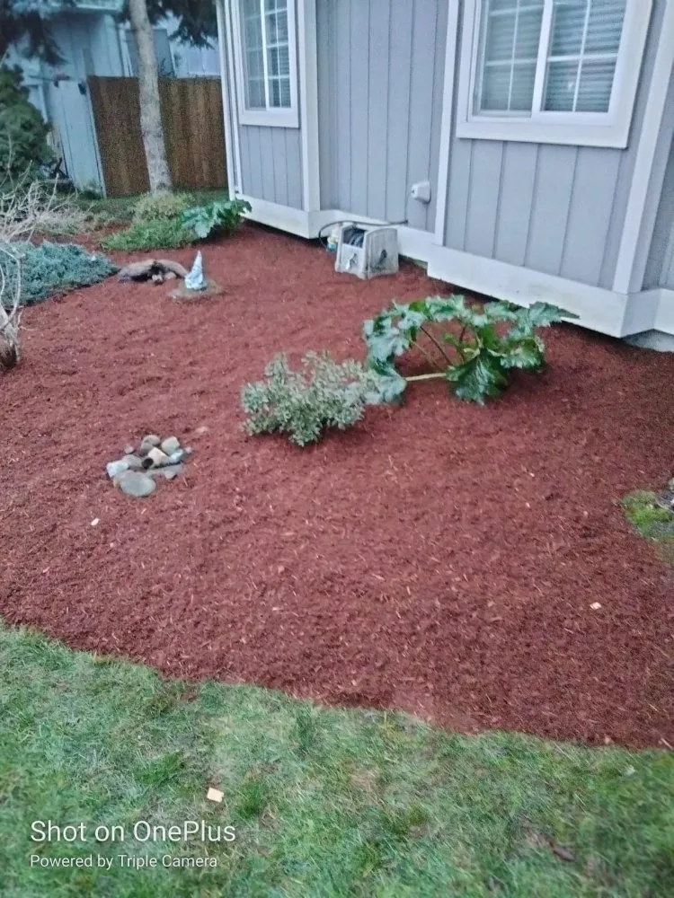 Custom landscaping services experts serving Lacey, WA - AR&R Landscaping