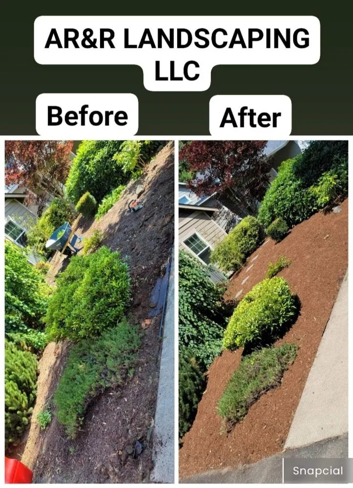 Reliable yard maintenance in Lacey, WA by AR&R Landscaping