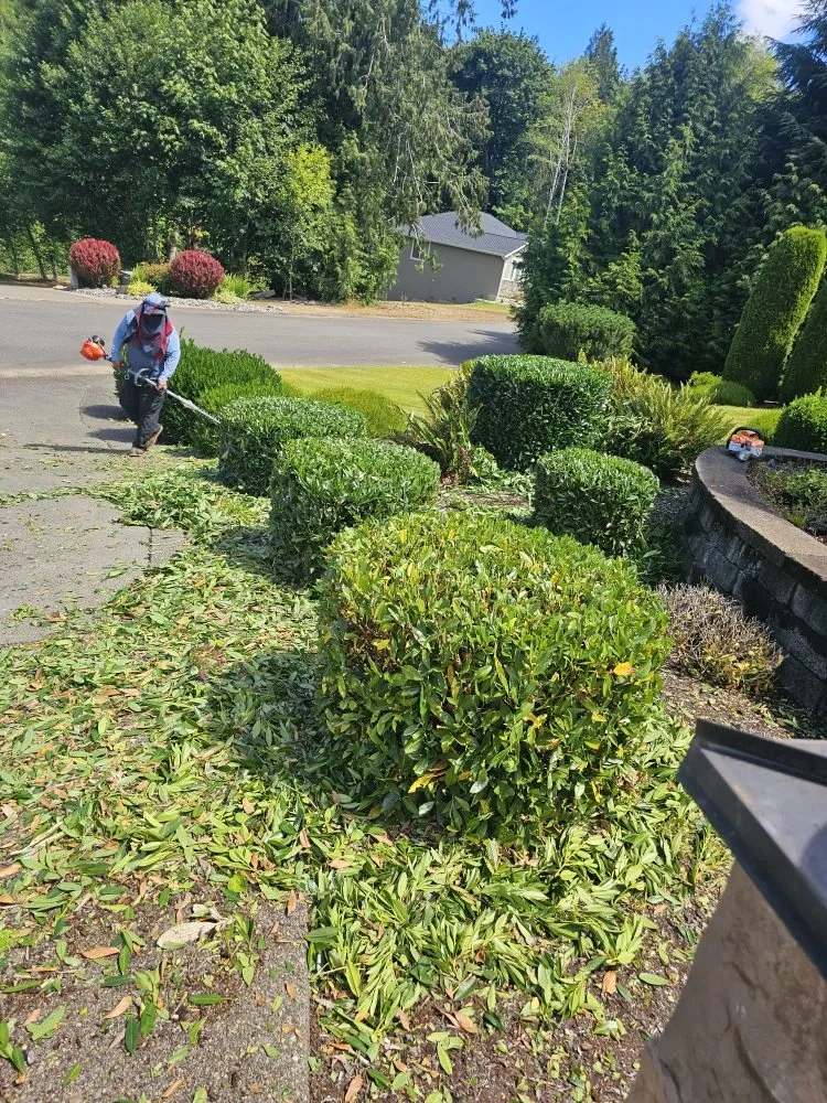 Reliable lawn care service in Lacey, WA - AR&R Landscaping