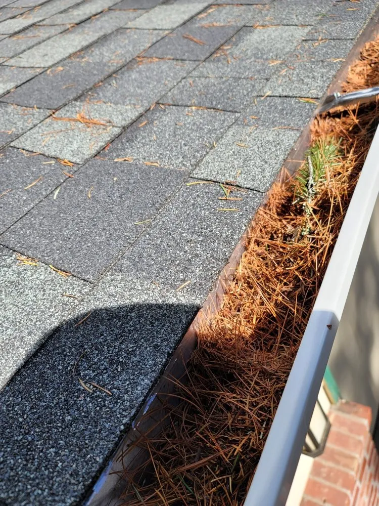 Custom lawn mowing service experts serving Lacey, WA - AR&R Landscaping