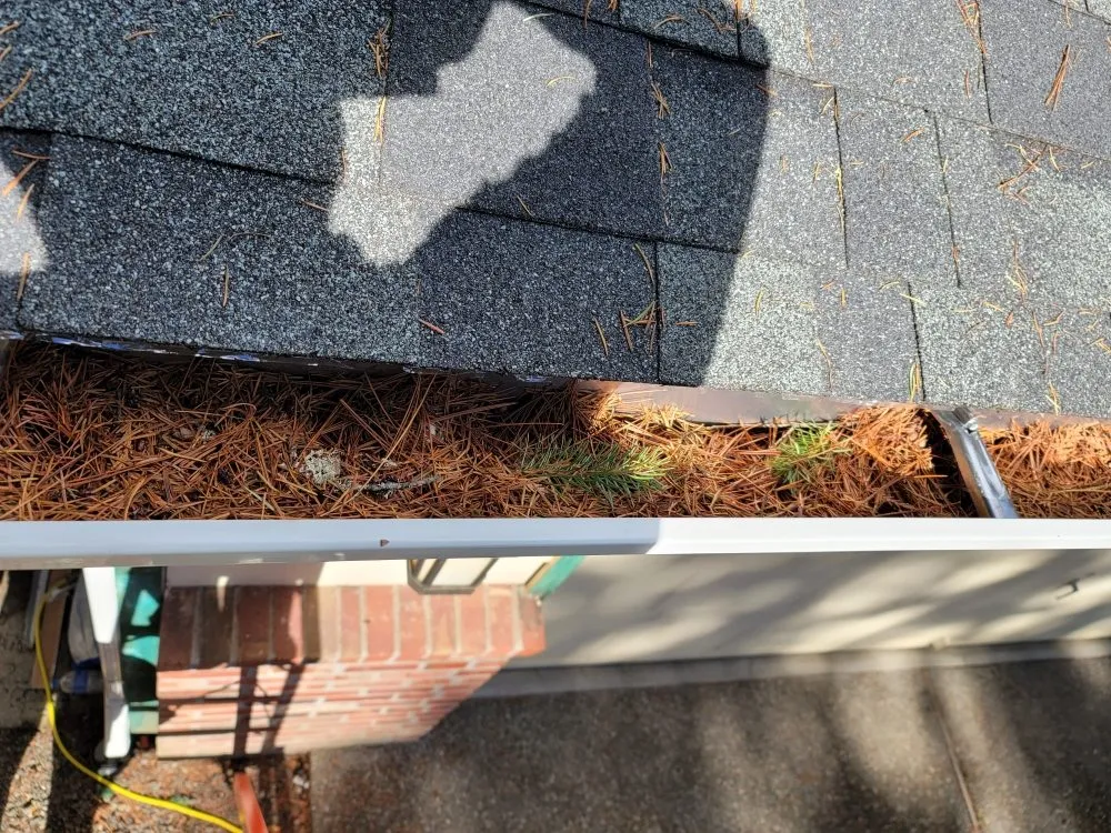 Affordable landscaping services in Lacey, WA by AR&R Landscaping