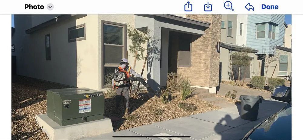 Professional yard maintenance for residential properties in North Las Vegas, NV by Arredondo Landscaping