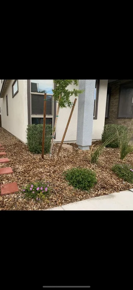 Professional yard cleanup service in North Las Vegas, NV - Arredondo Landscaping
