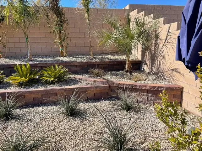 Trusted yard cleanup service experts serving North Las Vegas, NV - Arredondo Landscaping
