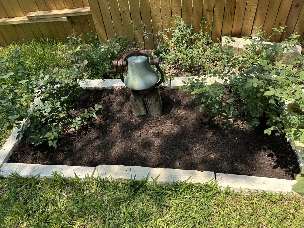 Affordable yard cleanup service in San Antonio, TX by Arredondo Landscaping