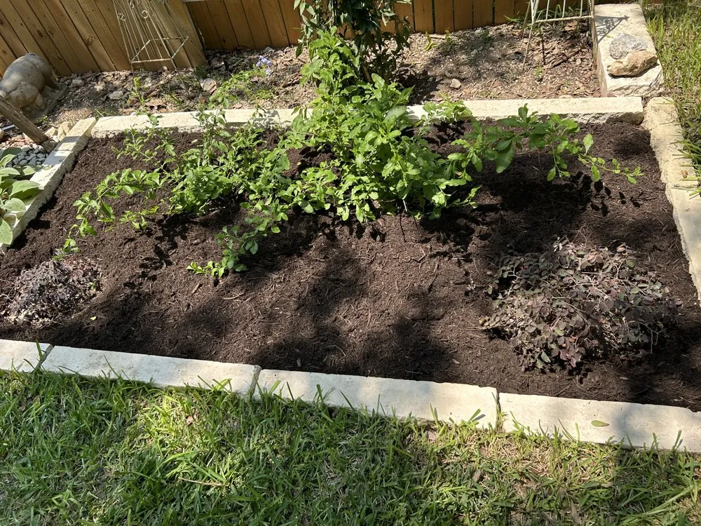 Custom landscape design in San Antonio, TX - Arredondo Landscaping