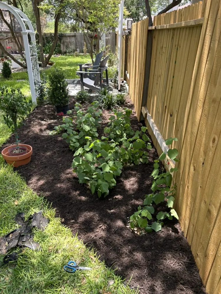 Top-rated yard maintenance for homes across San Antonio, TX - Arredondo Landscaping