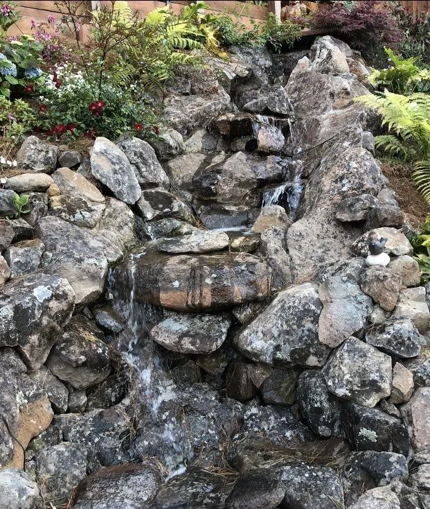 Professional yard maintenance experts serving East Palo Alto, CA - Arrellin Landscaping