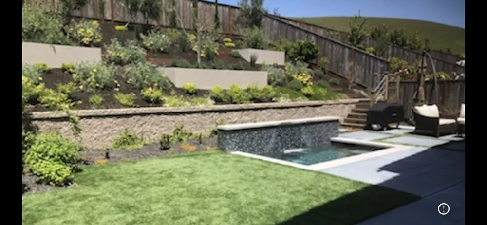 Reliable yard maintenance in Lafayette, CA - Arreola Landscape and Pool Design