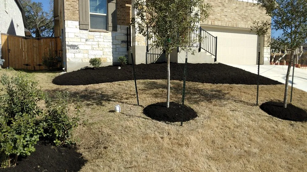 Trusted residential landscaping experts serving Austin, TX - Arreola Landscaping and Lawn Care